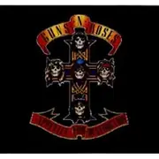 Appetite For Destruction