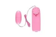 Pink Egg Vibrator Vibrating Sex Toy Remote Dildo Sex Doll G-Spot