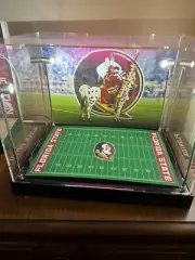 Florida State Seminoles Custom Full Size Helmet Display With LED Lights