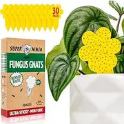 Super Ninja Fungus Gnat Trap - 30 Pack, Effective Fungus Gnat Killer for Indoor Plants, Yellow Sticky Fly Traps, Non-Toxic & Nature-Friendly Plant Fly Sticker, Suitable for Fruit Flies, Up to 3 Months