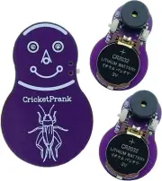 Cricket Noise Maker Prank (3 PCS), Beeping Several Months, Hidden Prank Noise