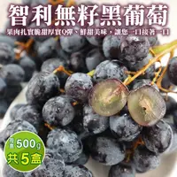 在飛比找PChome24h購物優惠-【WANG蔬果】智利空運黑無籽葡萄(5盒_500g/盒)