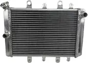 2 Rows Aluminum Radiator Compatible with Yamaha Grizzly Kodiak 700 2015-2022 Cooler Cooling Coolant 2015 2016 2017 2018 2019 2020 2021 2020