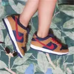 NIKЕ SB DUNK LOW PAPA BEAR 小熊爸爸 棕紅 低幫休閒百搭滑板鞋BQ6817-700