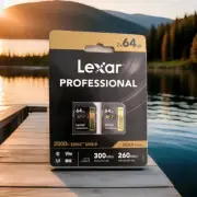 2 Pack Lexar Professional 2000x Class 10 64GB SDXC Memory Card LSD2000064G-b2nnu
