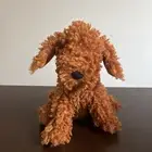 Jellycat Cooper Doodle Dog Brand New With Tags!