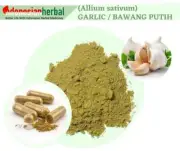 Capsule Of Pure Organic Garlic (Allium sativum) Organic Natural Herbal Herbs