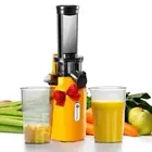 Ginnie Mini Cold Press Juicer, Small Slow Masticating Juicer for Vegetables a...