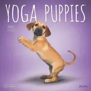 BrownTrout, Yoga Puppies Plato 2025 Wall Calendar