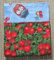Fiddle/Violin/Viola/ Cleaning Cloth Set of 2/Handcrafted/Jam/Tomato Print