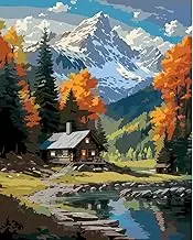 Paint by Number for Adults. A Cabin in The Woods Paint by Numbers for Adults Beginner Drawing Paintwork with 3 Paintbrushes Paint Canvas Oil Painting 16” x 20”