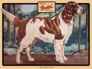 Goebel Beer, English Springer Spaniel NEW Metal Sign- 24x30" USA STEEL XL Size