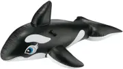 Intex Whale Inflatable Pool Ride-On, 76" X 47", for Ages 3+ Pattern Name:Whale