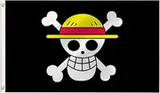 LARGE Jolly Roger King Flag, 3x5Ft Pirate Flags Banner For Indoor Outdoor Decoration of Canada Yards.Parade Or Express Mood