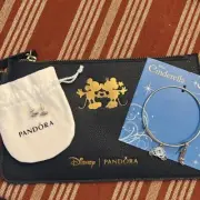 Pandora Cinderella's Carriage Stud Earrings + Disney Cinderella Charm Bracelet