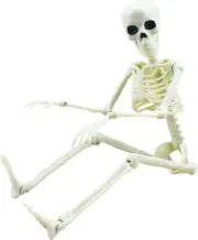 XONOR 16” Posable Halloween Skeleton- Full Body Halloween Skeleton with Movable