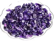 Erliway 1 lb Deep Amethyst Crystals Chips Bulk, 7-9 mm Tumbled Chips Crushed Crystal Stone for Garden Plant Decoration, Polished Healing Crystals Rocks for Jewelry Making Home Decoration