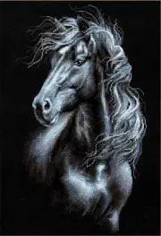 Cross-stitch kit Windscreen To Across The Mane 1494 Riolis