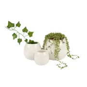 West Coast Paracord Planter Vase Set - 3 Pc White, Wedding Table Décor Reception