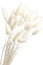 BESPORTBLE 1 Pcs Dried Reed Boho Wedding Flowers Dried Palm Leaves Dried Decor Artificial gypsophila Bouquet Reed Grass Bouquet Home Decor Natural Dinner Table Decor Pulley Straw