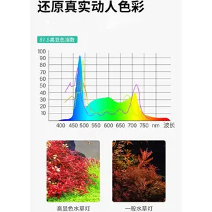 水族箱魚缸夾燈 LED夾燈 USB夾燈 水族燈具 水族照明 【現貨天天出】