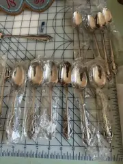 Oneida RAPHAEL Stainless Distinction Deluxe Glossy Set of 39 Pieces New