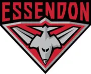 AFL Essendon Keyring
