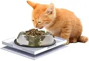 Ant Proof Plate for Pet Bowls, Food & Household Items - Square