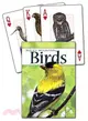 Birds of the Rocky Mountains Playing Cards