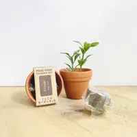 在飛比找蝦皮商城優惠-【聖新陶芸】Mini Garden Kit 迷你紅土陶盆種植