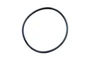 Davey / Monarch Whisper Pump Lid Oring - Pre 2008