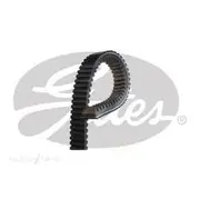 Gates G-Force CVT Belt - 31G3569
