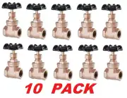 LDR 1/2in Heavy Duty Gate Valve Lead Free Brass Female Thread 125 PSI (10 PACK)