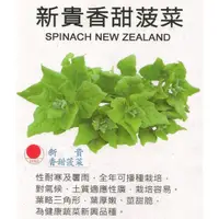 在飛比找蝦皮購物優惠-【蔬菜種子S300】新貴香甜菠菜（又叫做番杏）~葉厚嫩，莖甜