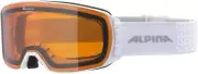 ALPINA Ski Snowboard Goggles Unisex Double Lens Anti-Fog Glasses Can Be Used NAK