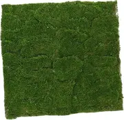 Sosoport Fake Moss Turf Simulation Plant Decor for Craft Projects Table Centerpieces Fairy Gardens