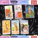 免運 台灣出貨 貓咪塔羅牌 CAT TAROT 英文版訂製卡牌 桌遊