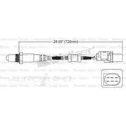 PAT Oxygen Sensor - EGO-415