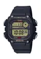 Casio Sports Digital Watch (DW-291H-9A)