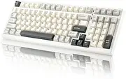 YUNZII YZ98 Gasket Mechanical Keyboard 99 Key Hot Swappable BT5.0/2.4G/USB-C Wireless Gaming Keyboard NKRO 98% 1800 Layout with RGB LED Backlit for Linux/Win/Mac(Milk Switch, White)