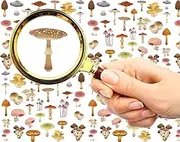 Nail Stickers Decal Transfers (5 Sheets) FLONZNAIL Mushroom Watercolor Vintage Illustration