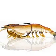 125mm Chasebait Heavy Flick Prawn Soft Plastic Fishing Lure with 15gm Lead Weight - Native Prawn