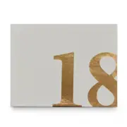 18th Guest Book Rose Gold Text Novelty Birthday Signature Notepad 23x18cm