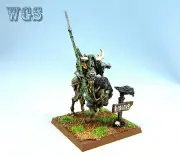 25mm Warhammer Fantasy WGS Painted Nurgle Chaos Lord on Daemonic Mount WC039