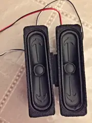 VIZIO D43F-J04 SPEAKERS SET LR