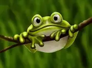 5D Diamond Painting Green Frog on Limb Bead Art DIY Cross Stitch Embroidery