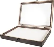 EXQUIMEUBLE 1Set Insect Display Box with Wall Mount Design Stylish Specimen Case for Butterflies Dried Flowers Compartment Storage Eye Catching Decor