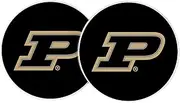 Desert Cactus Purdue University Car Coaster Boilermakers Absorbent Sandstone Car Cup Coasters Set of 2 (Design A)