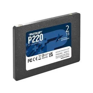 PATRiOT美商博帝 P220 SSD固態硬碟 128G 512G 1TB 2.5吋 固態硬碟 SATA3