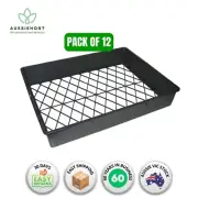 12 x Large Multipak Nursery Tray Without Holes - Seedling & Propagation Tray